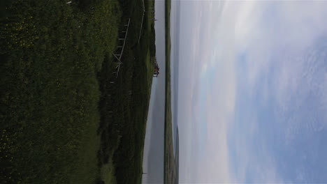 imágenes aéreas verticales del cielo azul sobre la costa de hierba y vegetación