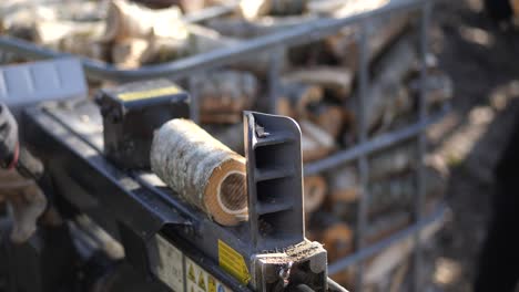 Close up slow motion shot of wooden log being chopped in special woodcutter