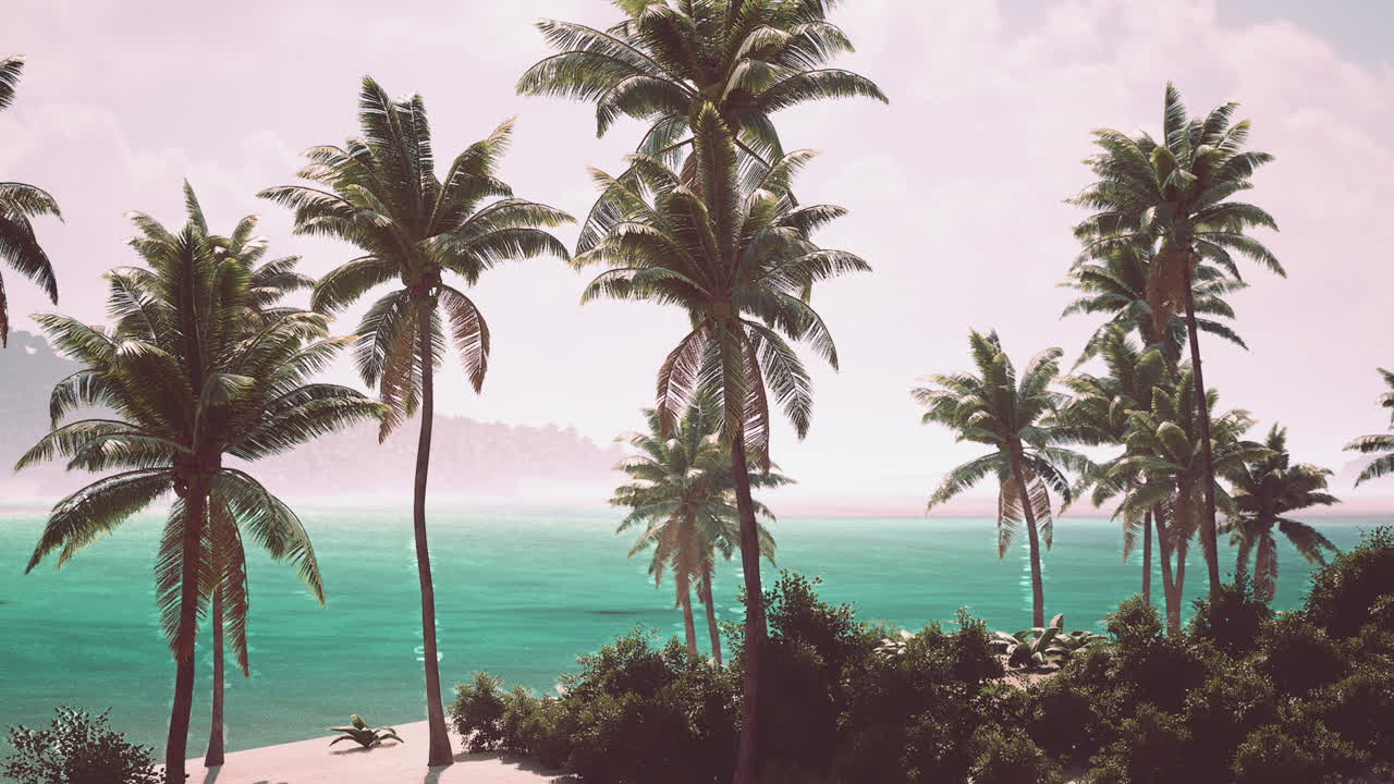Tropical Beach with Palm Trees
