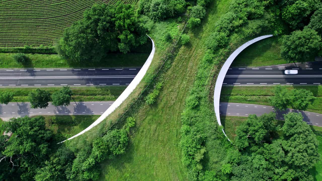 Dutch landscape with road traversed by wildlife crossing forming a safe natural corridor bridge for animals to migrate between conservancy areas. Environment nature reserve infrastructure eco passage.