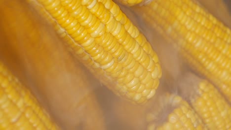 steaming corn on the cob