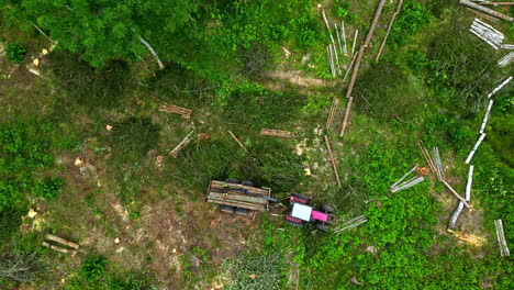 woodcutters use tractor to get logs out of forest, aerial view