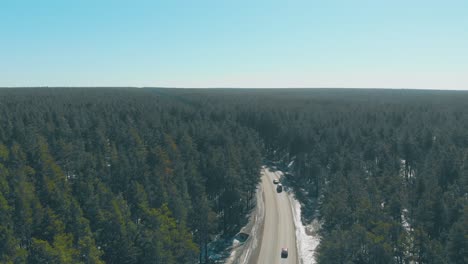 cars drive along road with snow on roadsides in pine forests