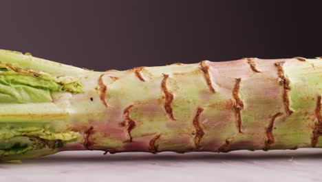 close-up of burdock root