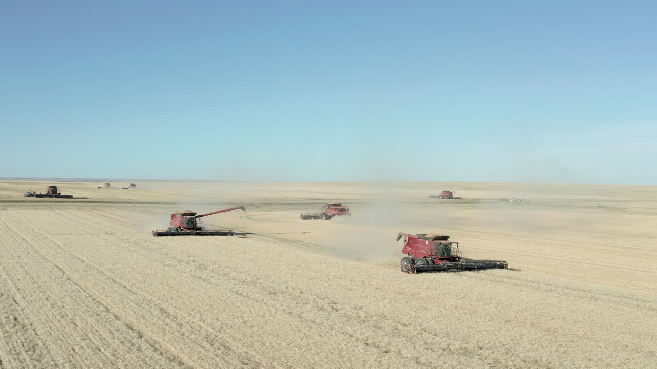 캐나다 서스캐처원주 급류 시골에 있는 평평한 광대한 농지에서 밀 곡물을 수확하는 대형 산업 농업 커터바 드레이퍼 기계