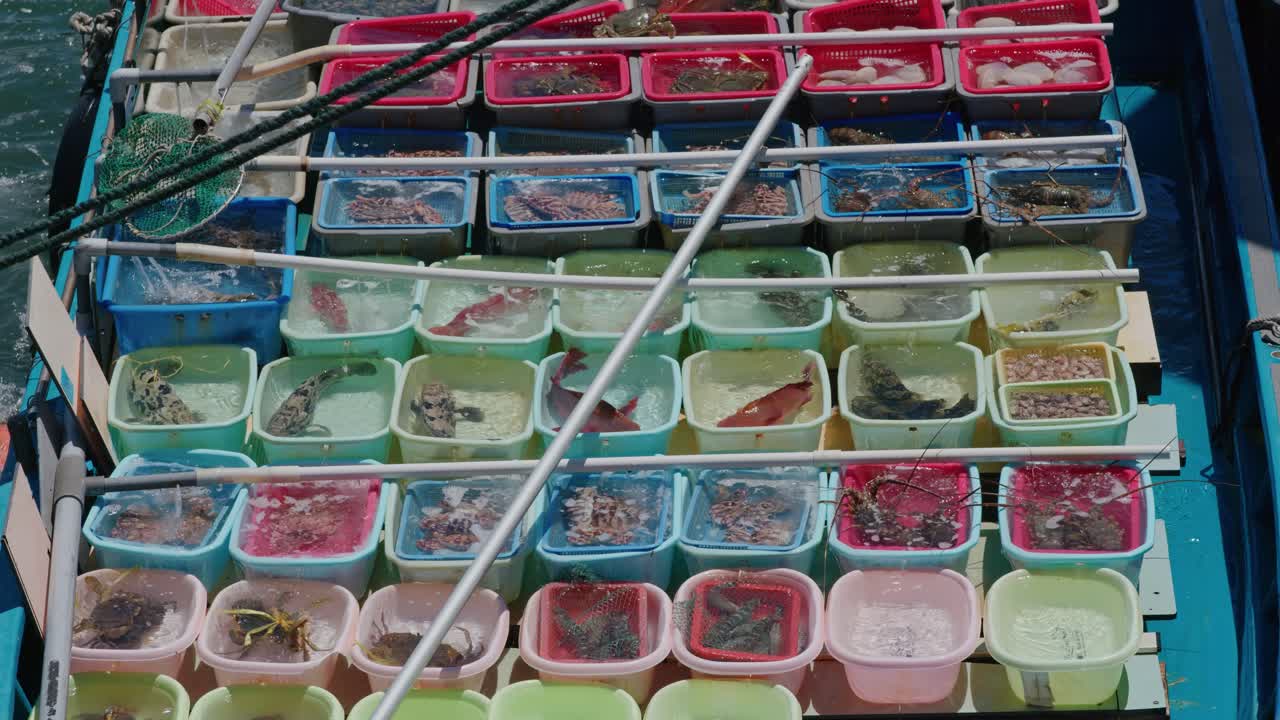 플라스틱 상자에 담긴 물고기 및 해산물