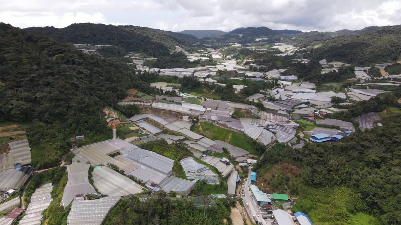 말레이시아의 카메론 하이랜드 지역 내의 브린창 지역의 일반 풍경