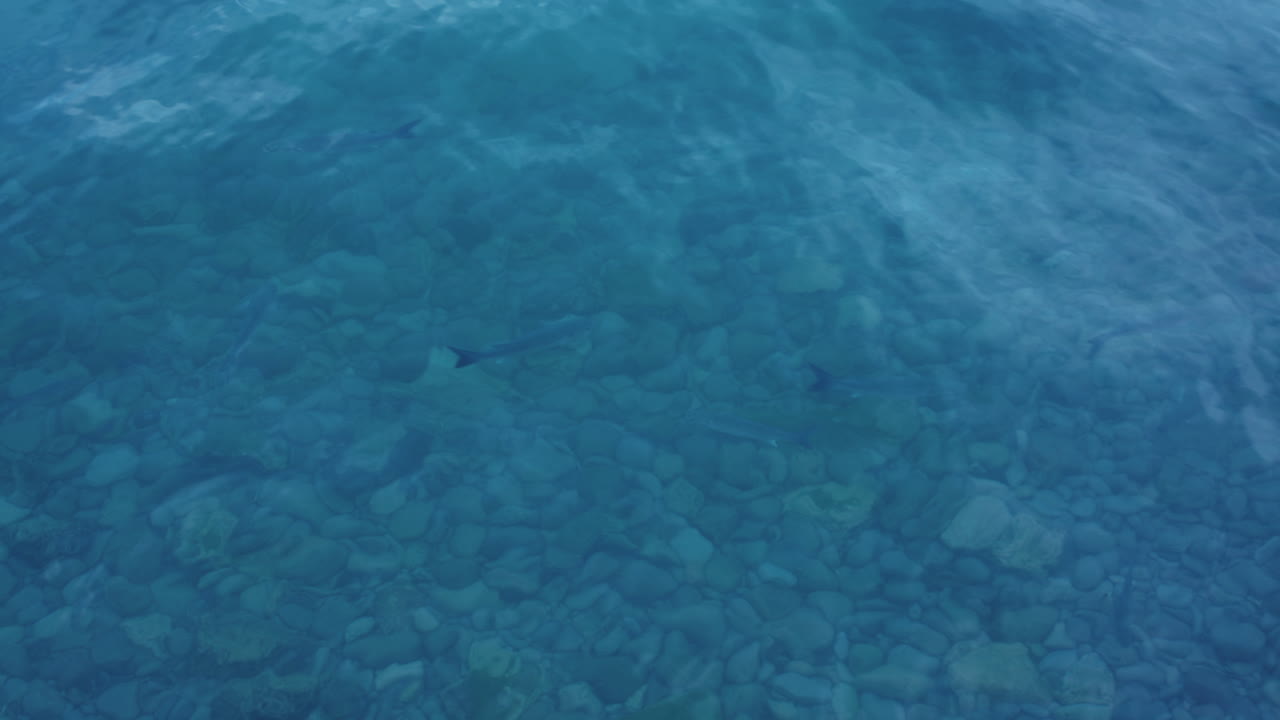 포르투갈 해변의 바다 돌