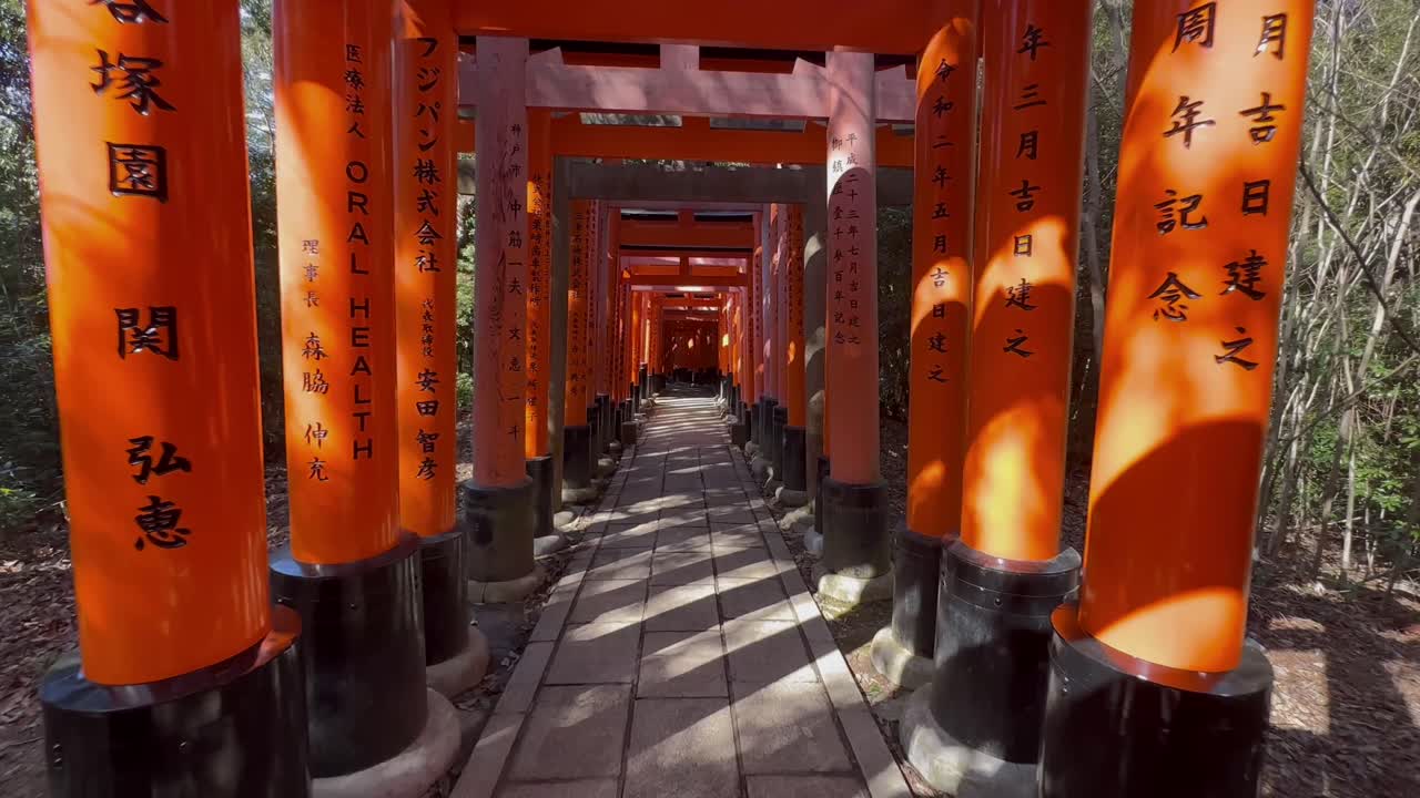 dolly zoom a través de los arcos vermilion en fushimi inari taisha en kyoto, japón