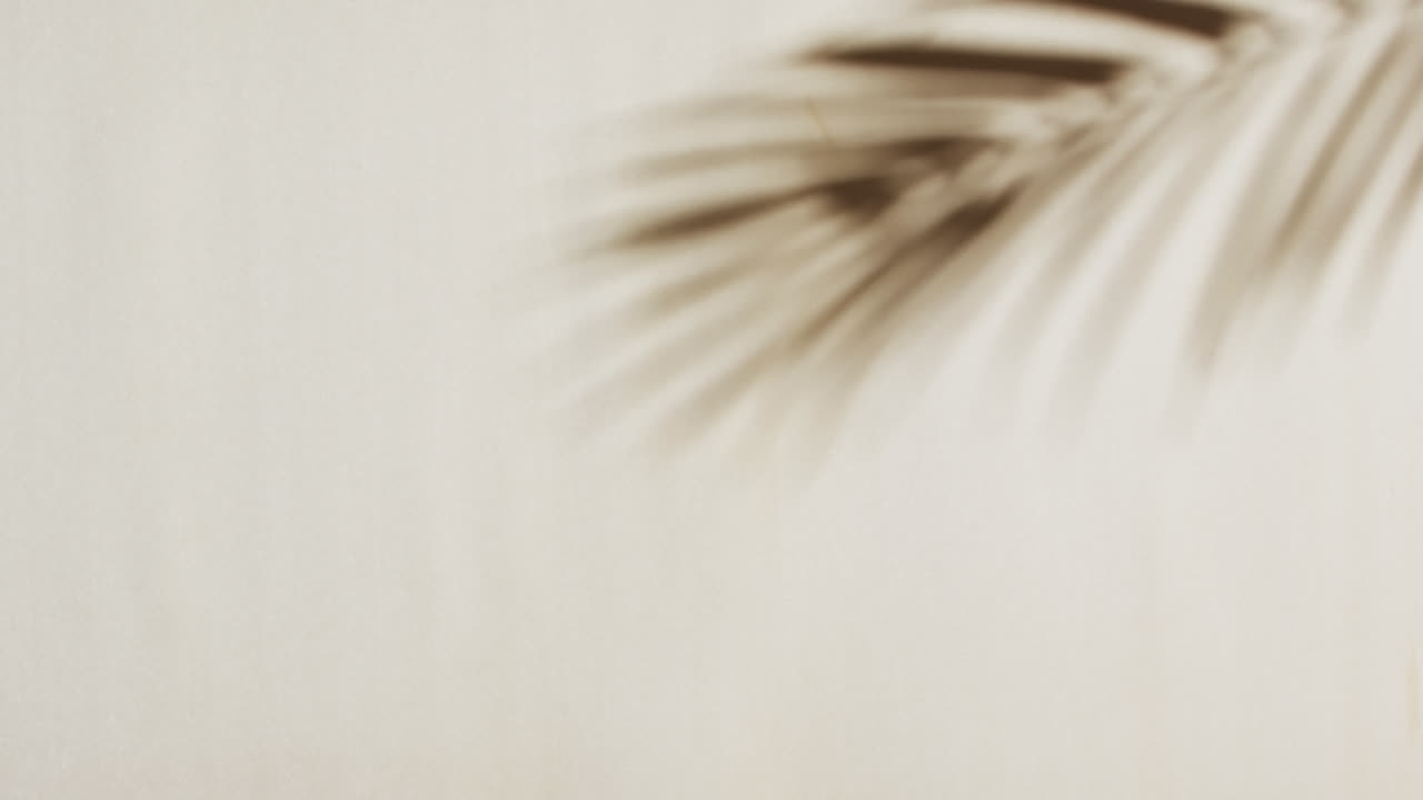 Animation of shadow of palm tree leaf moving with copy space over white background