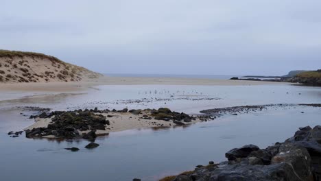 Vista-Panorámica-Del-Paisaje-Marino-De-Dunas-De-Arena-Y-Océano-Durante-La-Marea-Baja-Con-Aves-Descansando-En-Aguas-Poco-Profundas-En-La-Isla-De-Barra-En-Las-Hébridas-Exteriores,-Escocia,-Reino-Unido