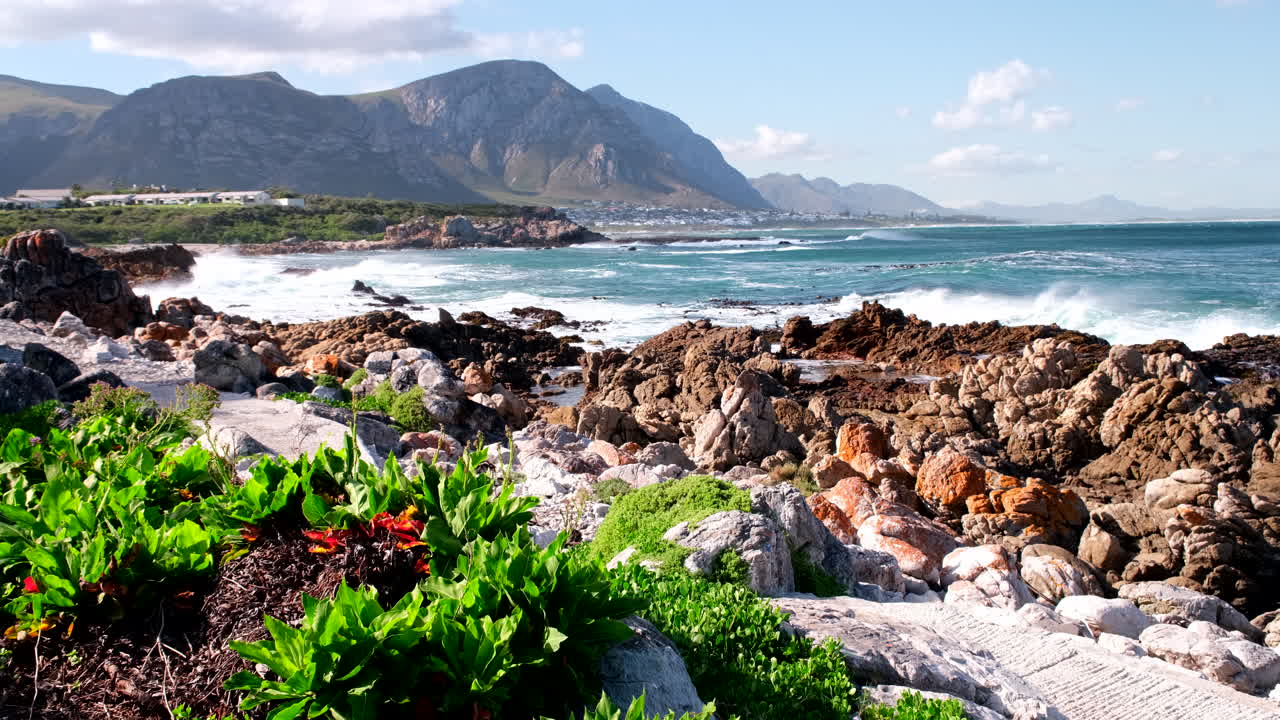 Man on brisk walk on scenic walkway along rugged coastline, Hermanus ecotourism