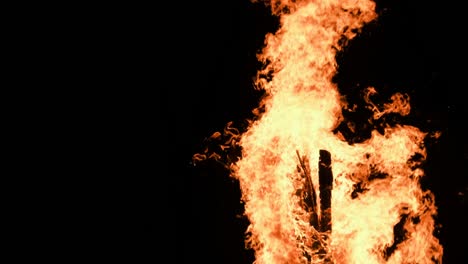 big bonfire burns at night in slow motion on a black background on nature