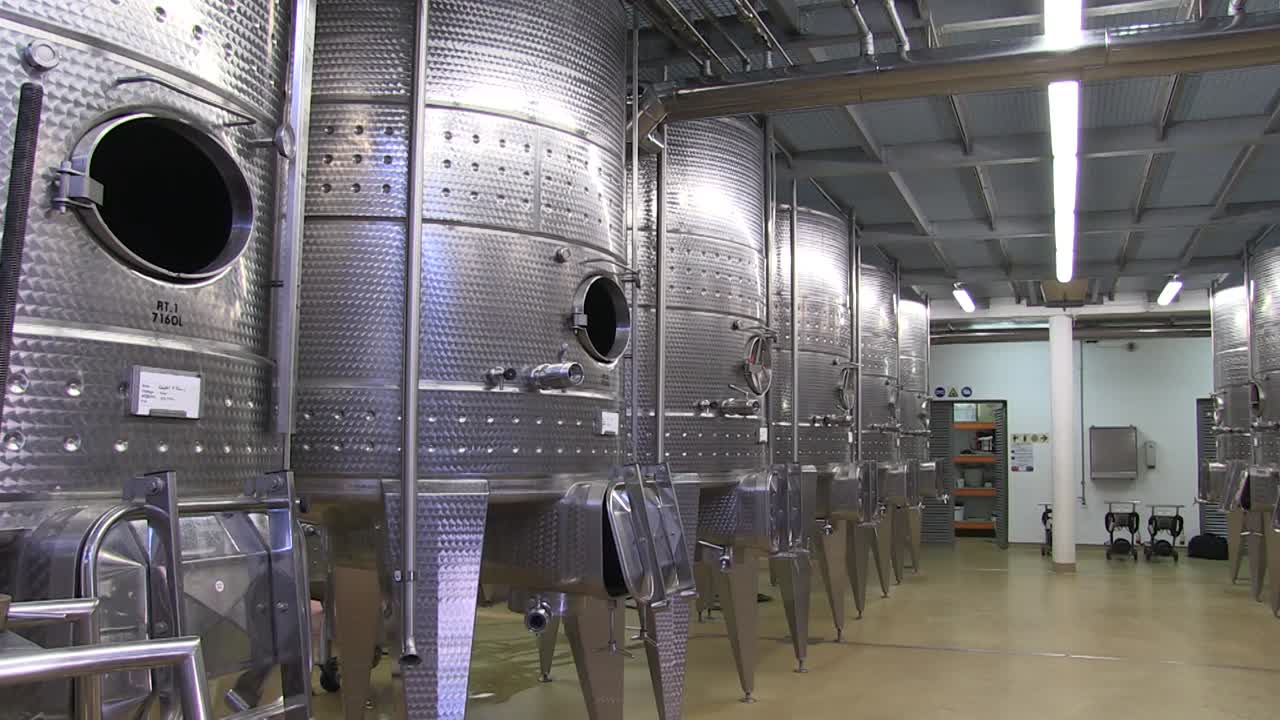 와인 농장의  ⁇ 색 와인 지하실