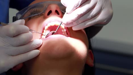 dentist examining a patients teeth in the dentists chair