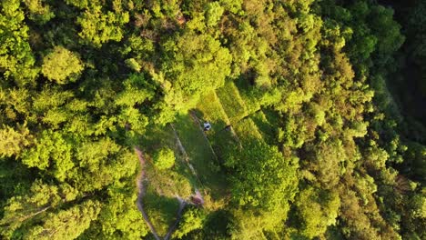 Picnic-Desde-Arriba-En-Medio-Del-Bosque