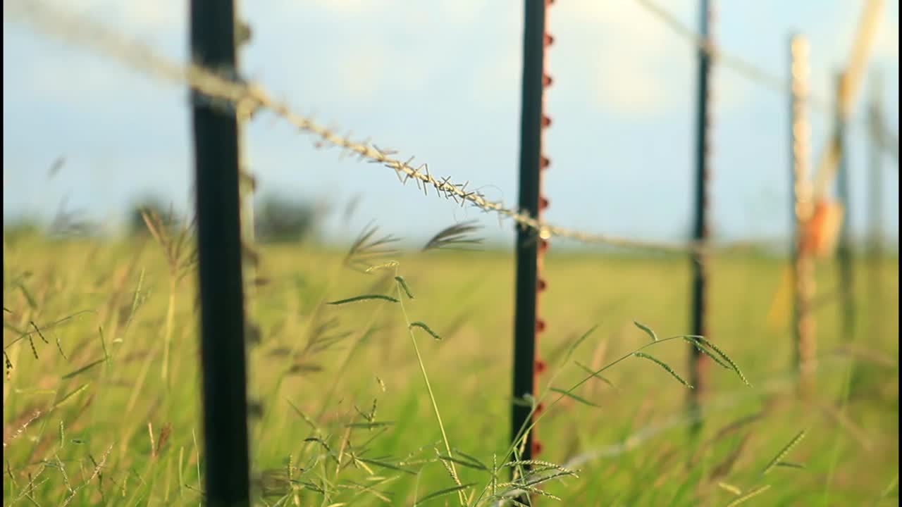 들판 에 있는 가시 와이어 울타리