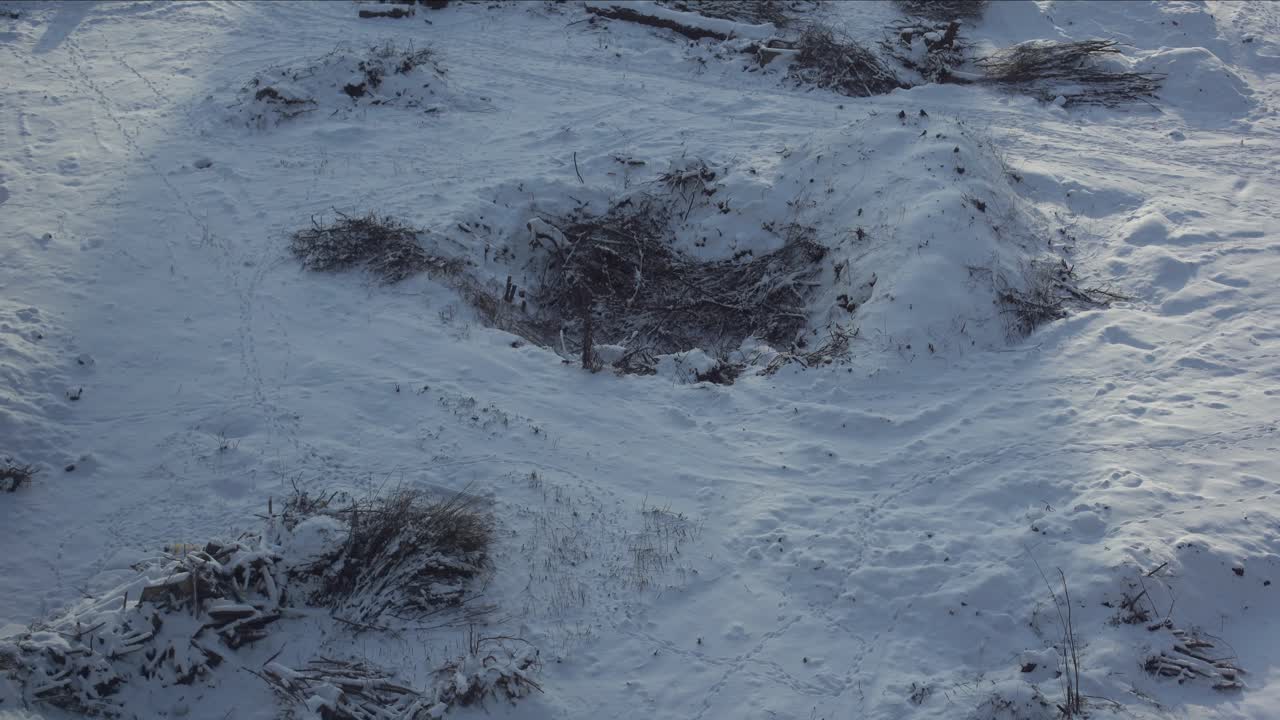 Neve sciolta sullo sfondo, con terra ed erba visibili