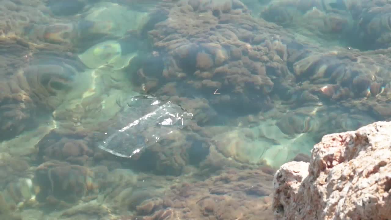 맑은 지중해 바닷물에 떠 다니는 비닐 봉지