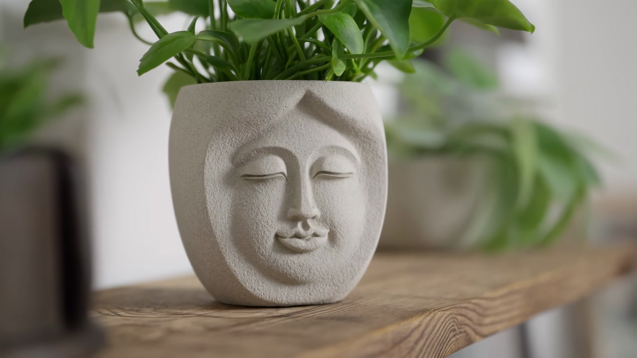 Ceramic Face Planter On Shelf Serene Sculpted Pot With Pothos Foliage, Natural Light On Rustic Wooden Shelf,