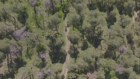 Descending-shot-above-a-group-of-friends-hiking-through-a-forest