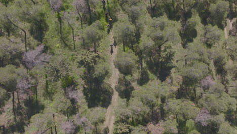 descending shot above a group of friends hiking through a forest