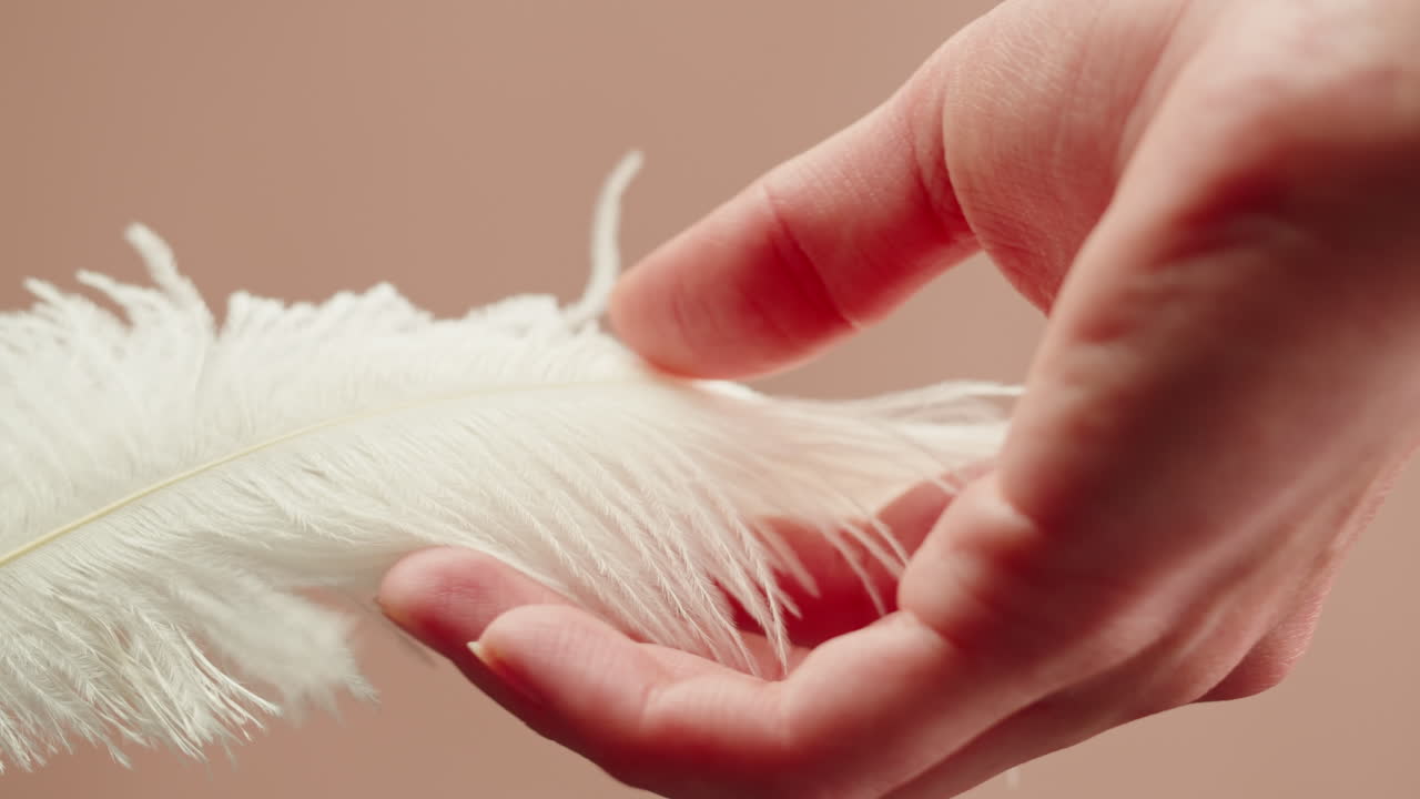 A Soft White Feather Held in a Hand