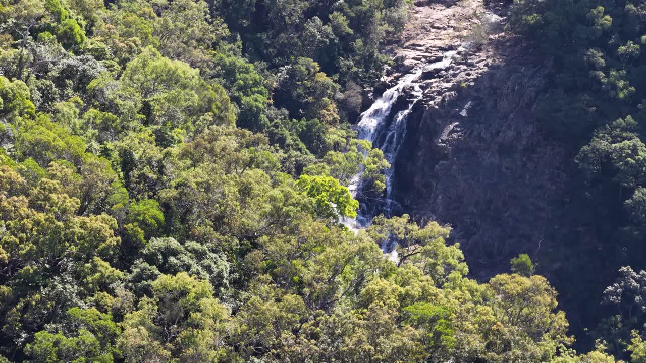Drone footage captures a waterfall cascading through lush greenery in Port Douglas, Queensland, under bright daylight