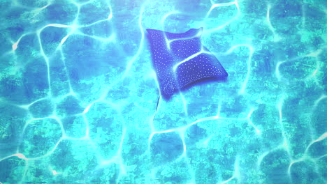 closeup stingray in underwater world with summer background 1