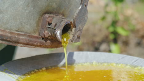 production of honey on a small home apiary honey flows from a tap of a honey machine 4k video