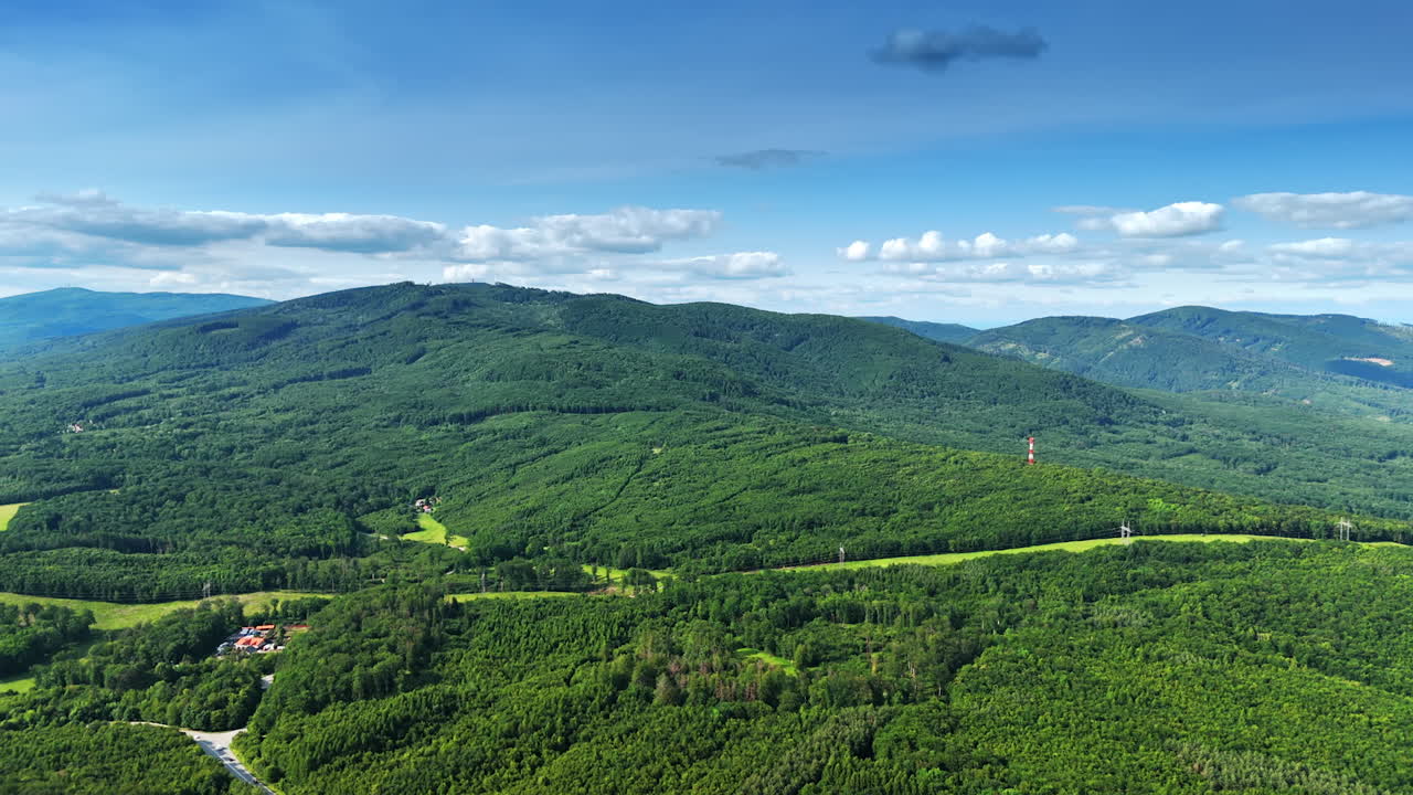 Lush green hills under a clear blue sky. Rolling hills covered in dense forest showcase a vibrant landscape and bright blue sky during daytime