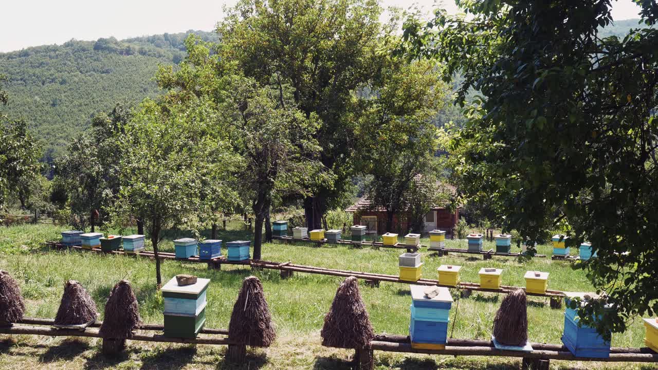 Beekeeping for healthy honey in blue white and yellow beehive boxes in rural countryside garden