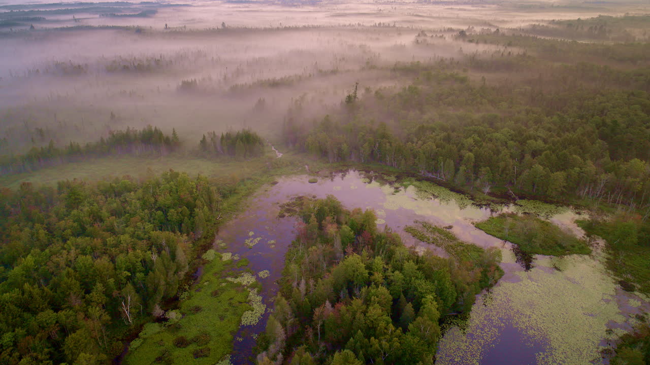 Drone shot flying over foggy river towards wild forest in northern Michigan