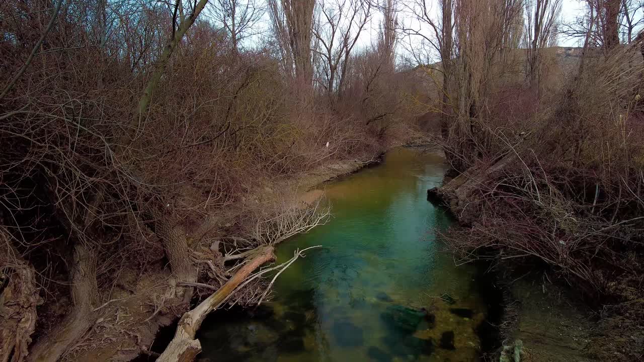 disfruta de las aguas verdes y la serenidad del río de manantial en este hermoso video