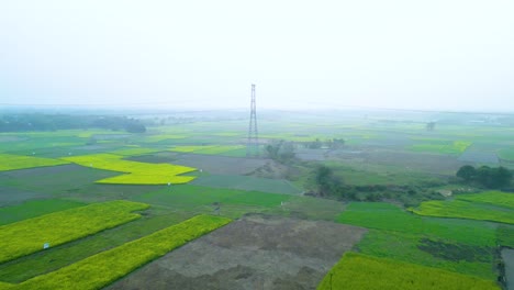 Vista-Aérea-Del-Paisaje-De-Campo-Amarillo-Y-Verde