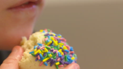 extreme close up of a little boy enjoying a homemade sprinkle cookie