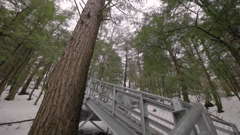 Empinada-Escalera-Escénica-Que-Conduce-A-Una-Ruta-De-Senderismo-Por-Un-Acantilado-Forestal-En-Invierno-Con-árboles-De-Hoja-Perenne