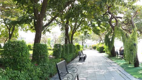 personas caminando y sentadas en un parque pacífico