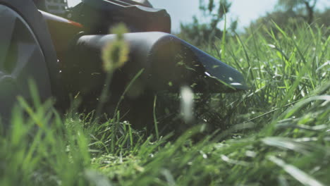 lawn mower cutting grass