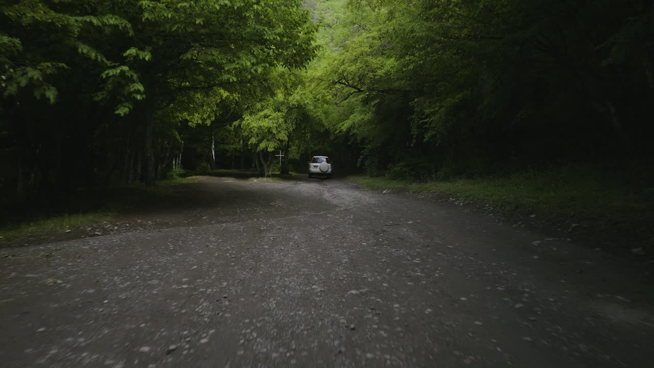 mtsvane 수도원의 수도원 근처 숲을 통해 운전