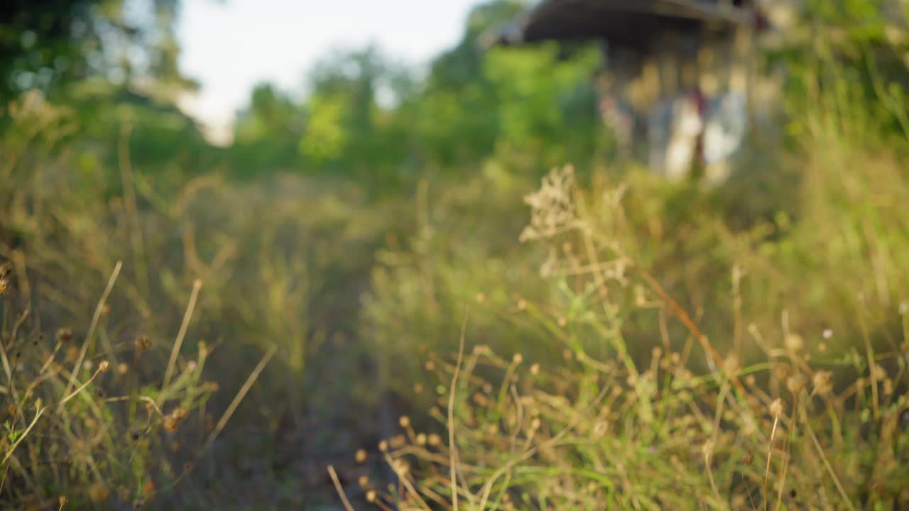 야생초와 잡초가 가득한 버려진 철도와 기차역