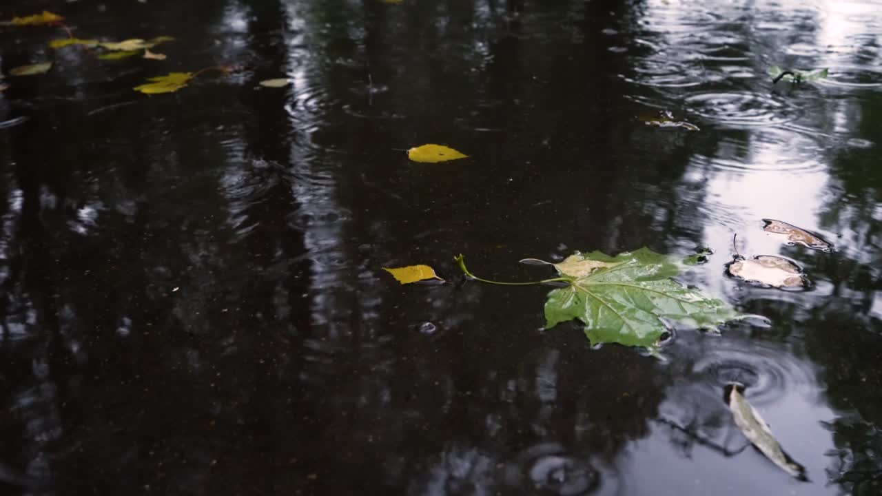Autumn rain in bad weather, rain drops on the surface of the puddle with fallen leaves.