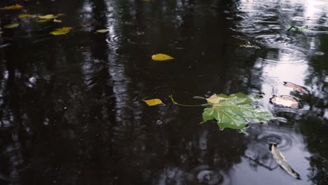 Autumn-rain-in-bad-weather,-rain-drops-on-the-surface-of-the-puddle-with-fallen-leaves.