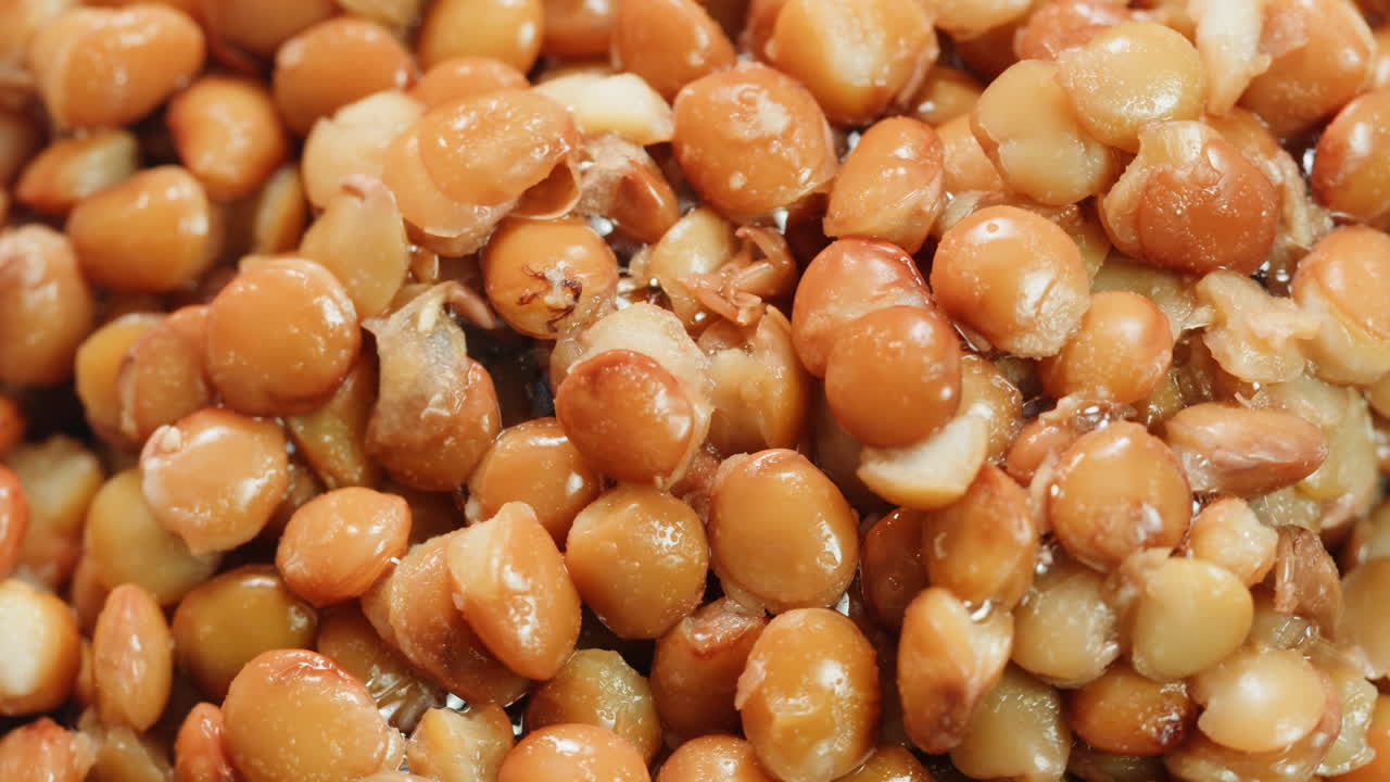 Lentils macro, Open metal can with preserved steamed brown lentils close up isolated on white background
