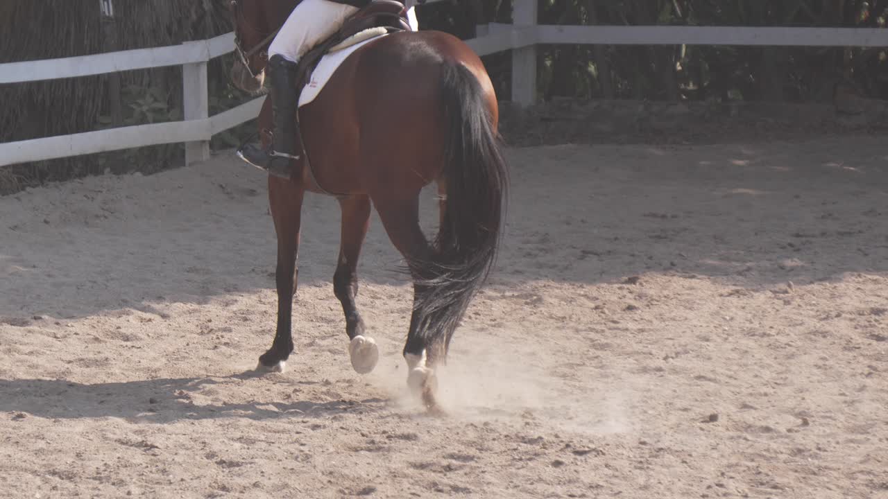 Premium stock video - Close-up of the legs of a horse trotting ...