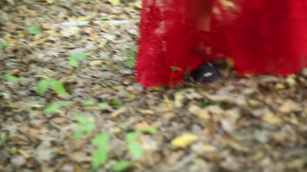 Beautiful Woman Walking Through Green Forest. Beautiful woman in red long dress walking through green forest