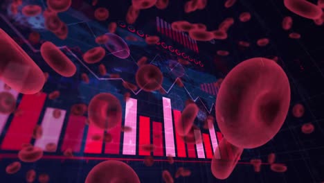 Animation-of-covid-19-and-red-blood-cells-and-text-with-statistics-recording