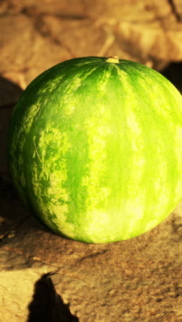 closeup of a ripe watermelon