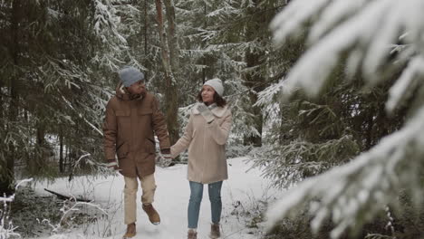 couple walking hand in hand in a snowy forest