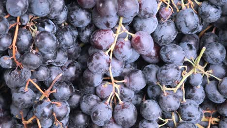 close-up of a bunch of dark purple grapes